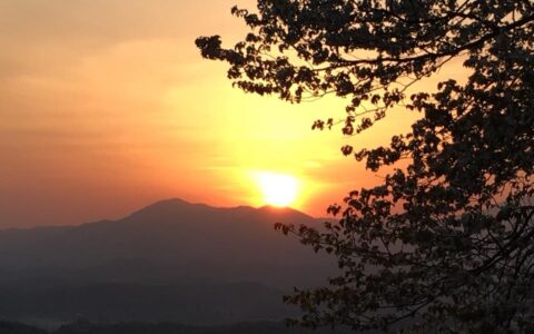 31091987_1069241223214890_3182035999957975040_n